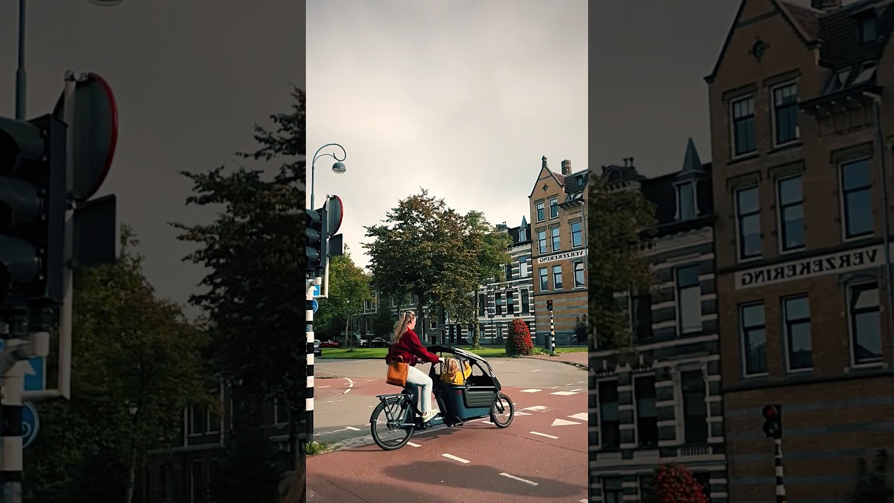 Haarlem, Нидерланды (Голландия) Европа, обзор города 