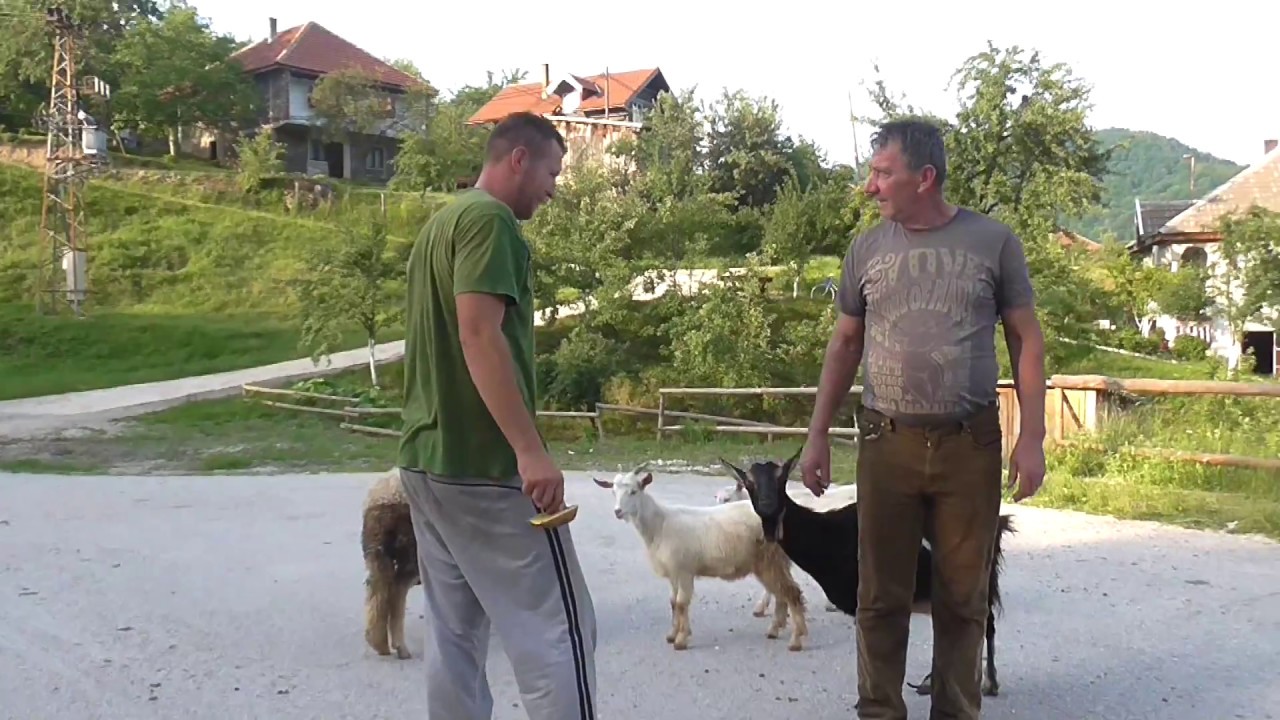 Pepelarima u Goste  (Pepelarima to guests)