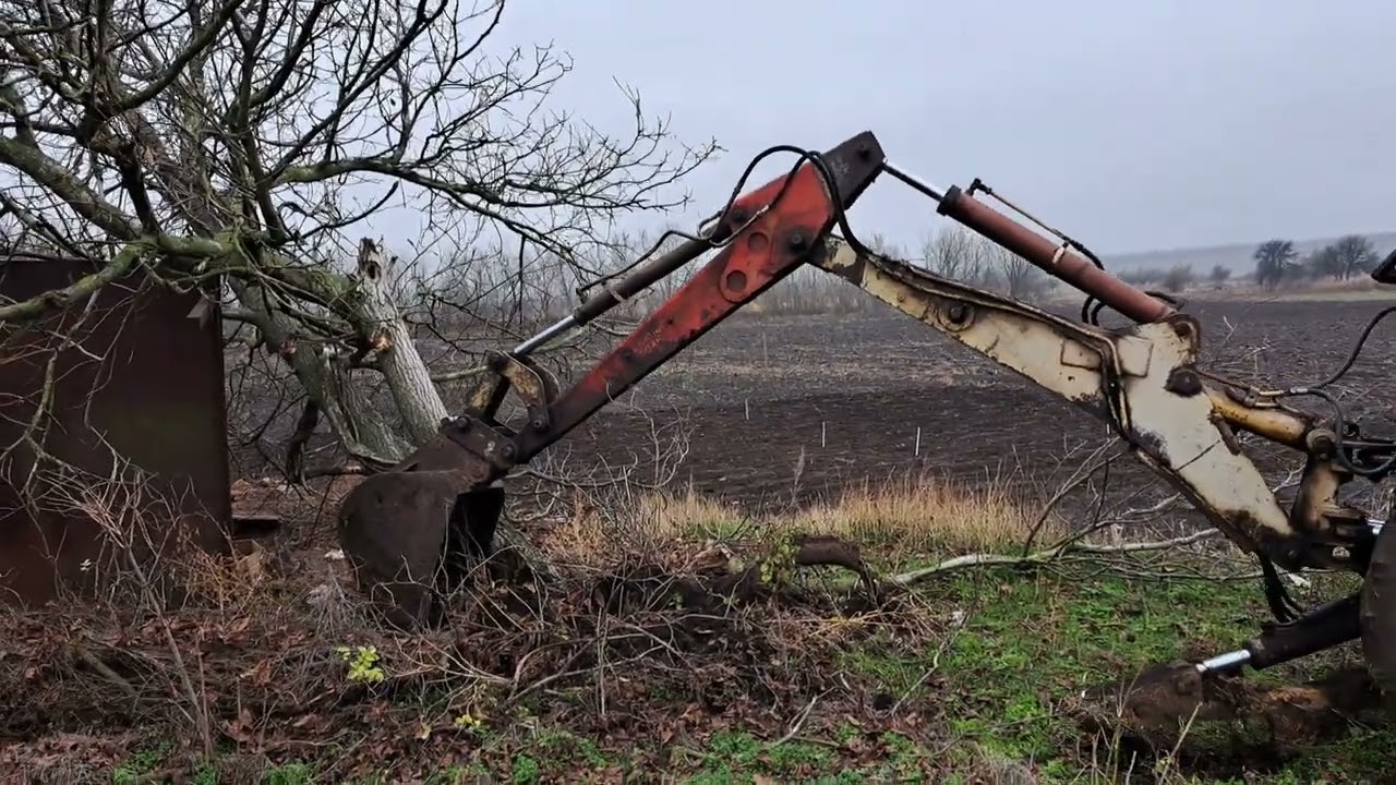 Корчовка горіха незвичним способом. Діаметр дерева при землі 50 см