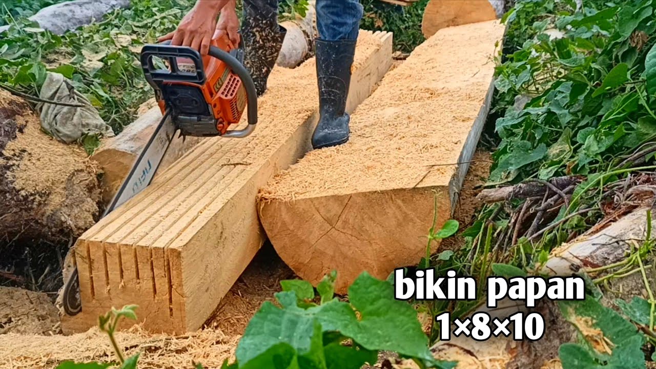 bikin papan 1×8×10| mengunakan chainsaw new west 588i