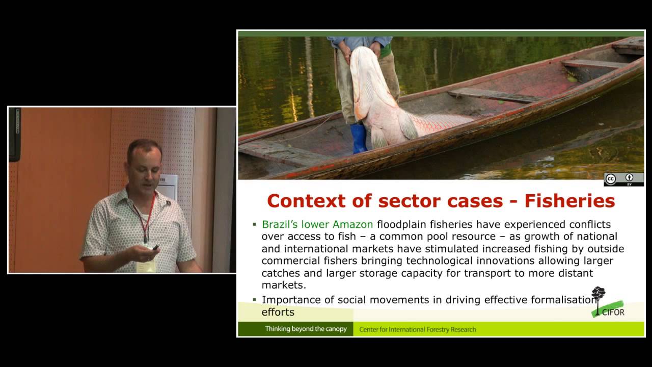 Louis Putzel - Formalisation of access to and trade in natural resources