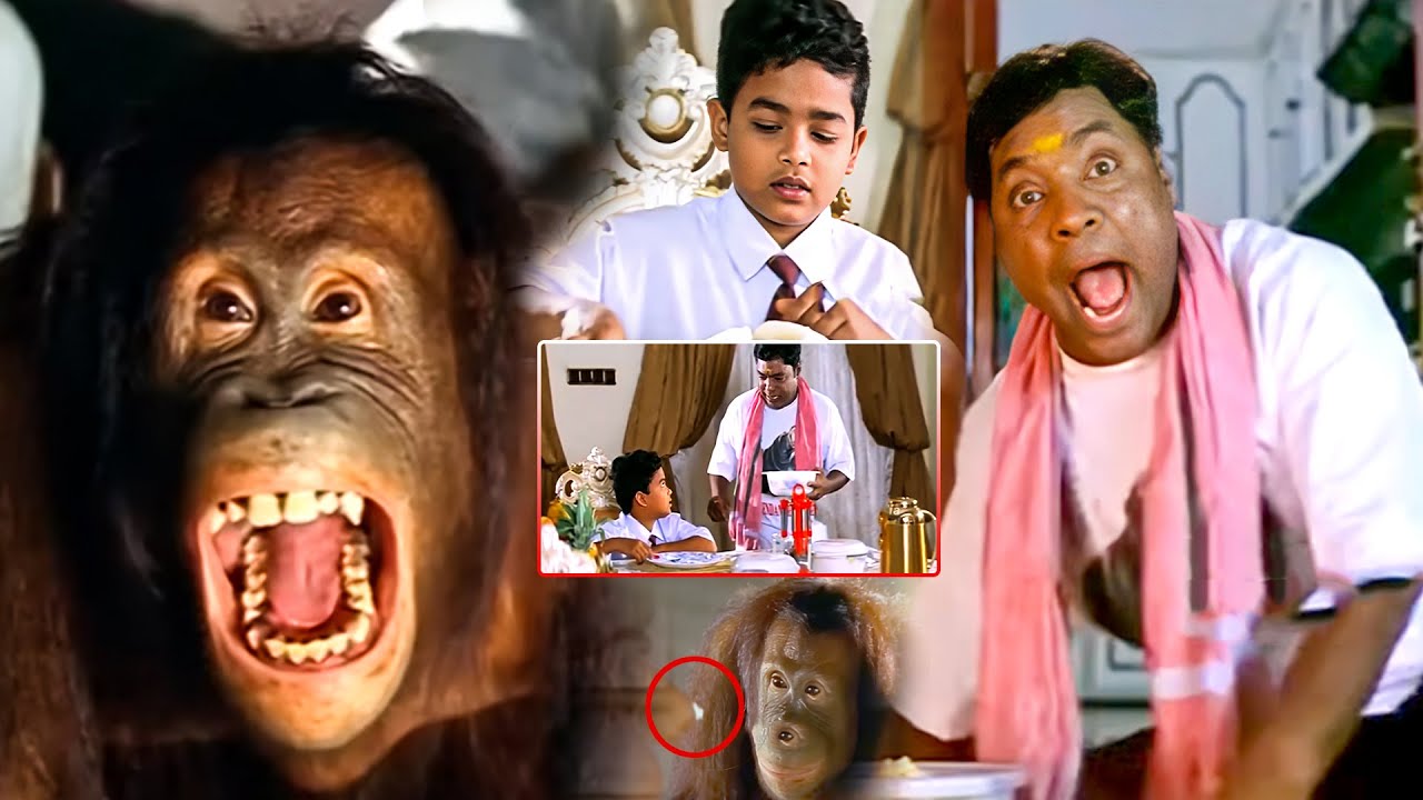50 ఇడ్లీలు ఎలా తిన్నారు బాబు..| Sahasa baludu Vichitra kothi Movie 50 idli Comedy Scene