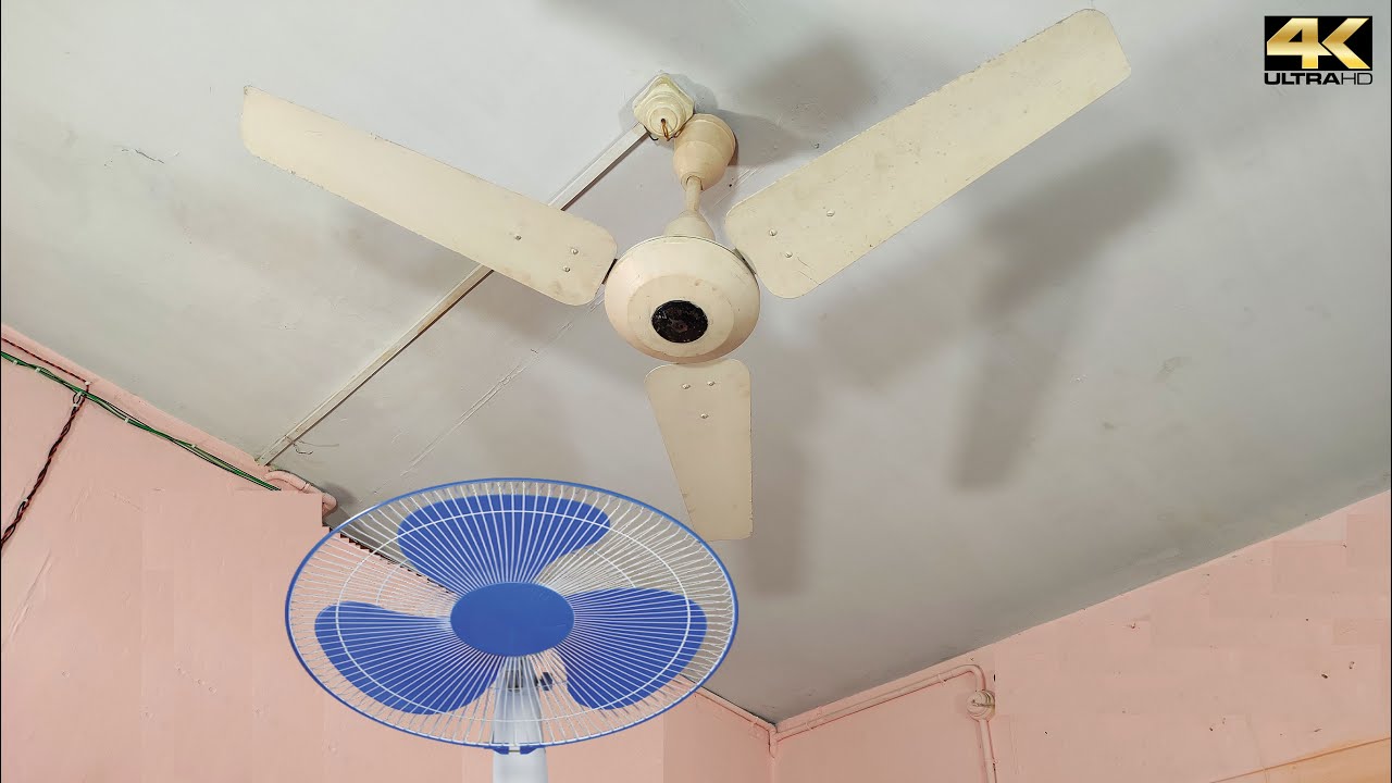 Pedestal Table Fan |