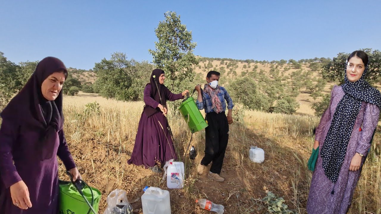 Nomadic life: A wonderful day with Zahra's family on the farm