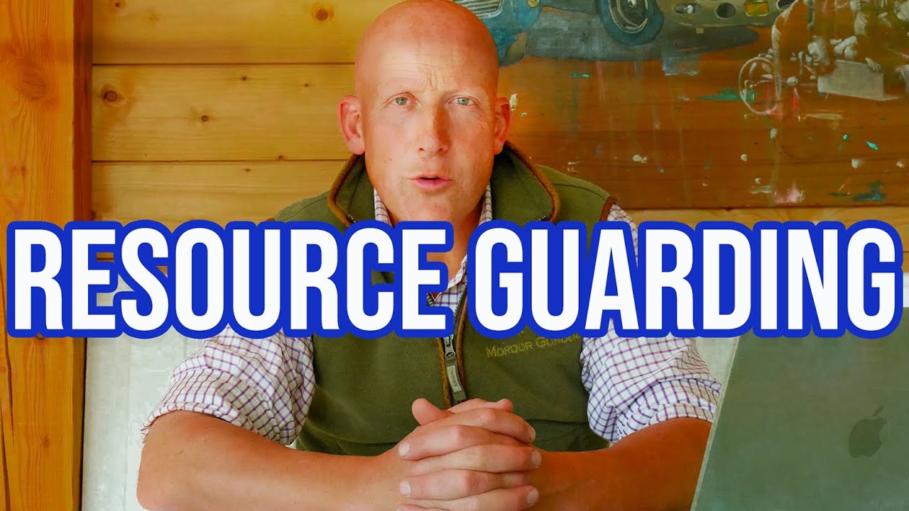 QUICK Q&A With A Professional Dog Trainer: Commands, Consistency, Resource Guarding