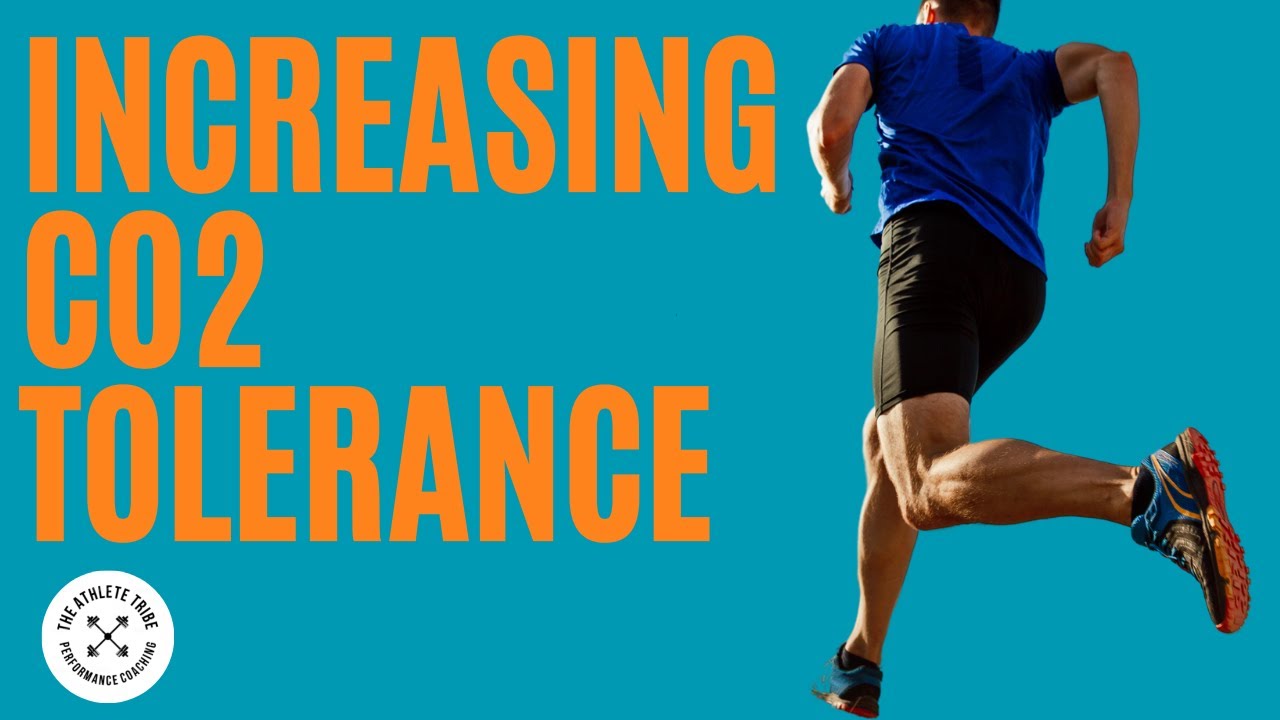 How To Improve CO2 Tolerance | Breathwork and breathholds in training