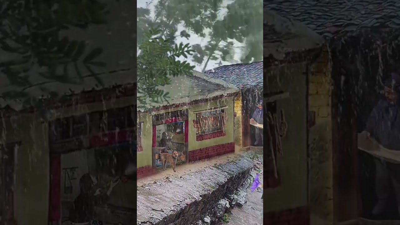 Finding Tranquility in a Rainy Cabin Getaway #rainyday #heavyrainfall #storm