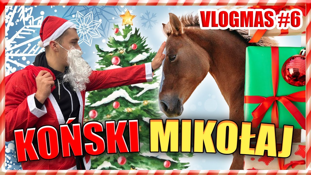 ODWIEDZIŁ NAS KOŃSKI SWIĘTY MIKOŁAJ 🤶🎄 - KONIE PRZEMÓWIŁY #VLOGMAS 6