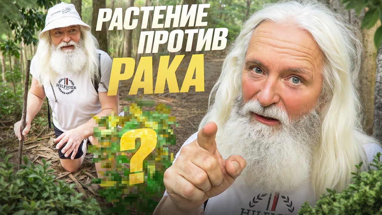 В поисках растения ПРОТИВ РАКА!