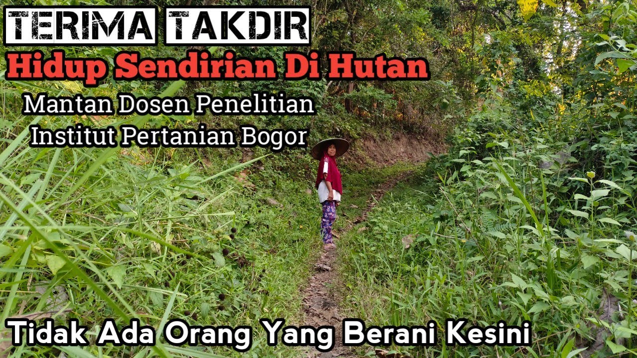 Rumah Mantan Dosen Tinggal Sendirian Di Tengah Hutan Jarang Ada Orang Yang Datang