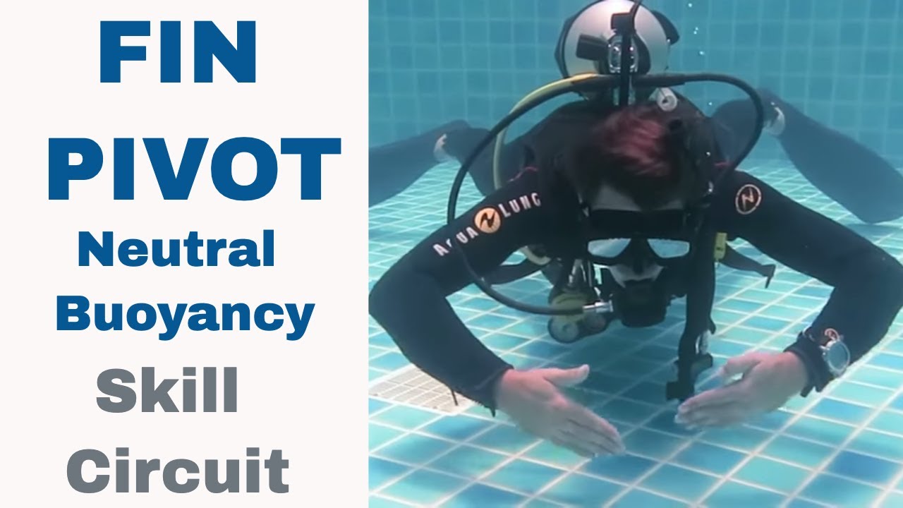 Neutral Buoyancy Fin Pivot LPI 🔥 Divemaster & PADI IDC Skill Circuit