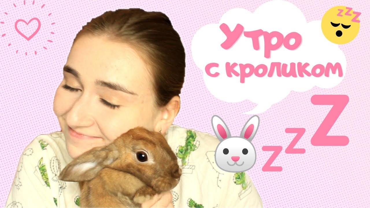 МОЁ УТРО С КРОЛИКОМ! / КАКИМ СЕНОМ Я КОРМЛЮ СВОЕГО КРОЛИКА? / ДЕКОРАТИВНЫЙ КРОЛИК!