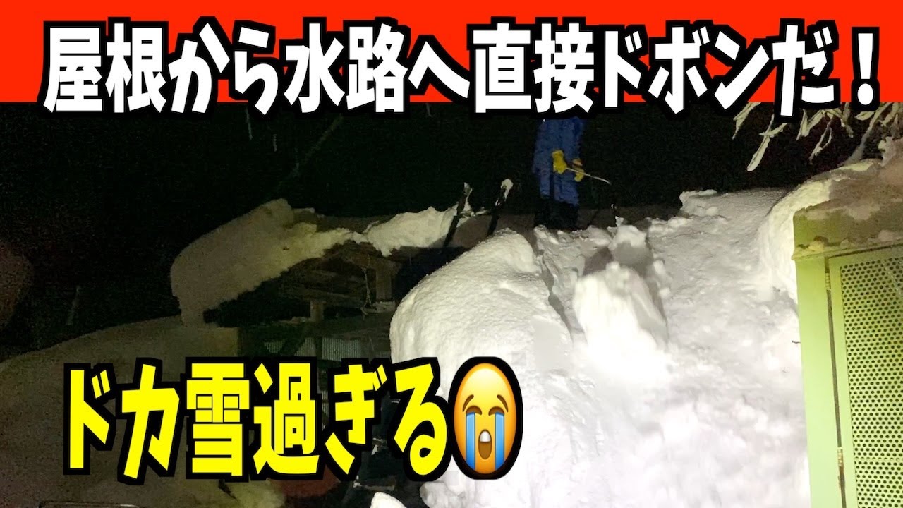 【緊急雪おろし】ドカ雪すぎるから屋根から直接ドボンだ！2026-01-30（金）　武七の除雪・雪かき日記　snow removal ASMR
