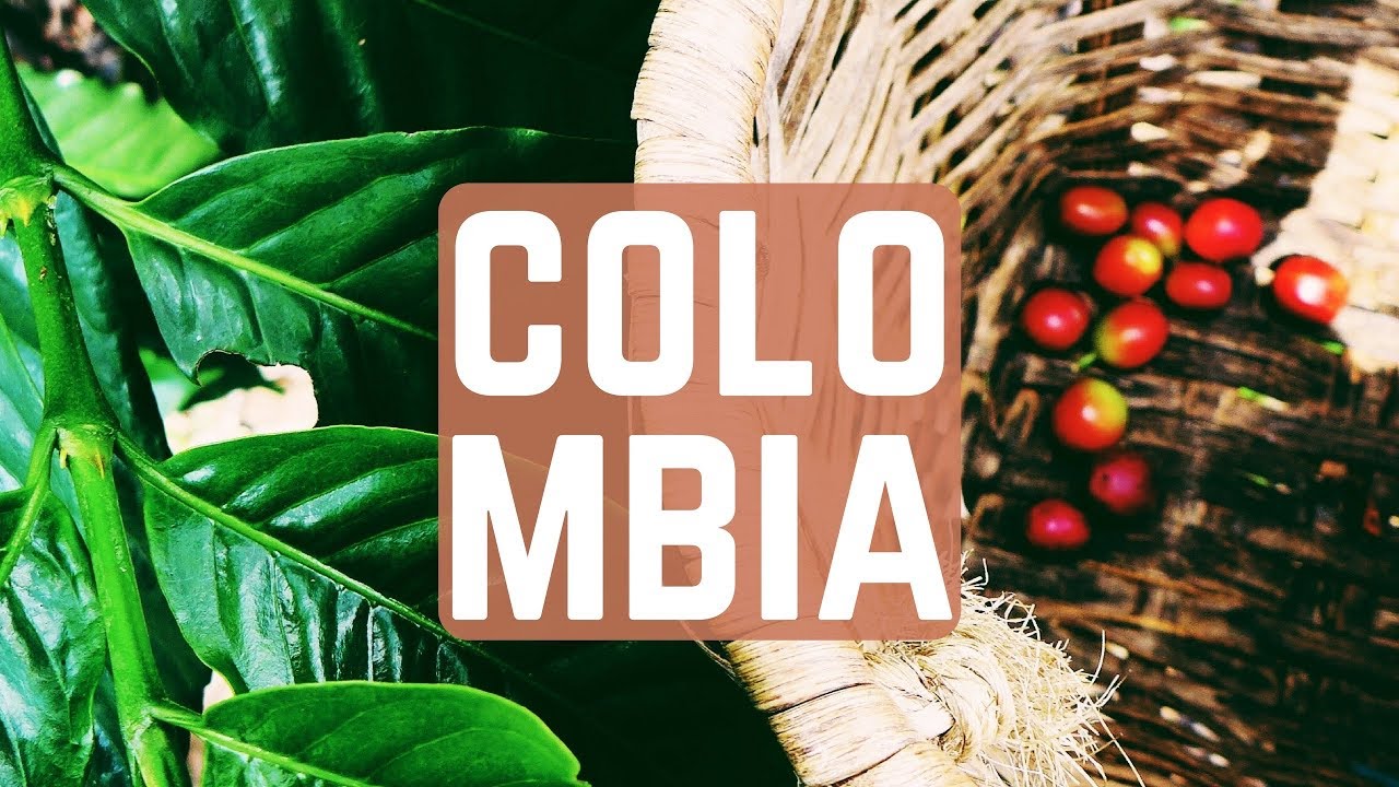 COLOMBIA: LA GUIDA DEFINITIVA!