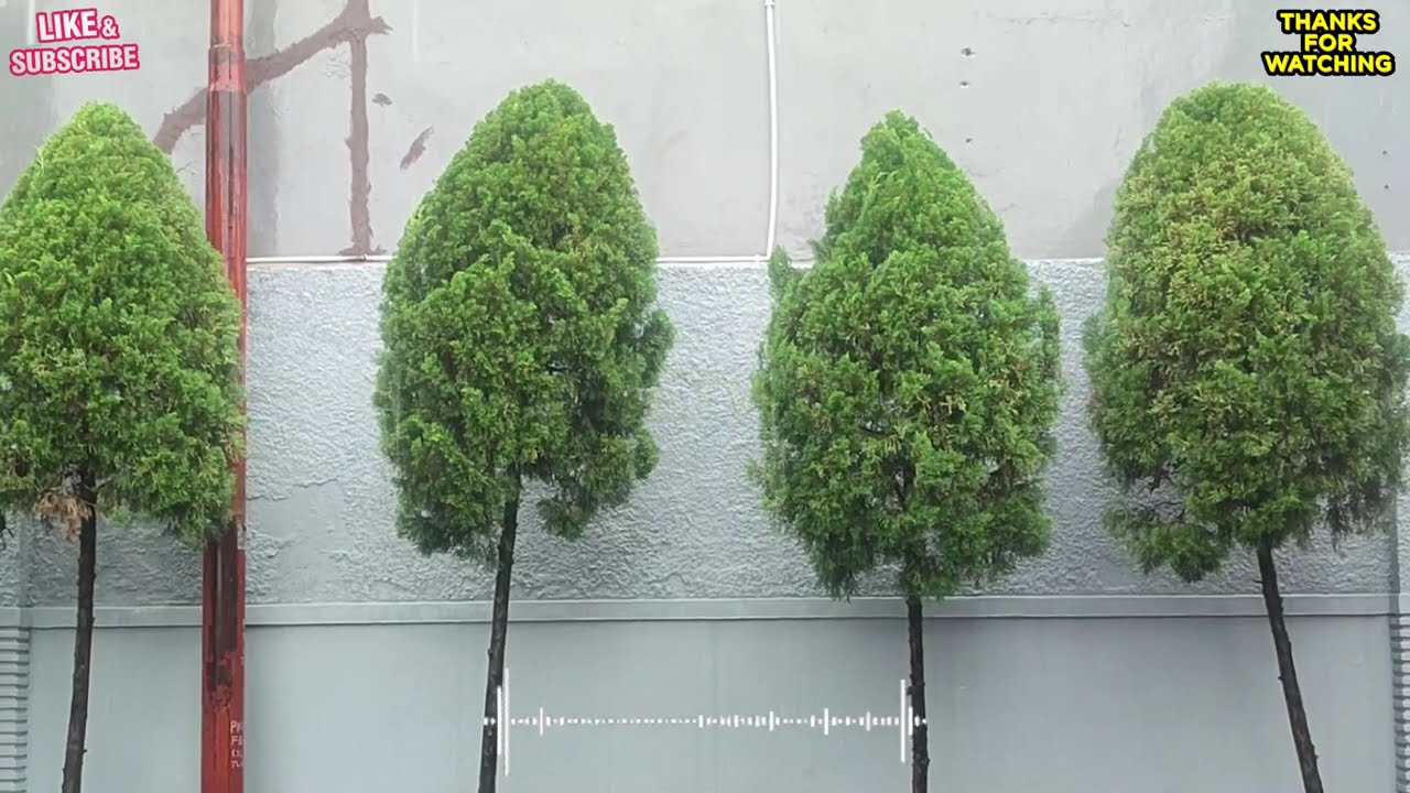 Imam S Arifin full album tanpa iklan dangdut populer paling dicari terbaik sepanjang masa