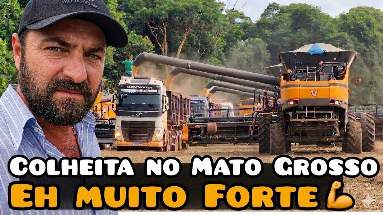 LINDO DE VER TANTAS MÁQUINAS JUNTAS COLHENDO SOJA