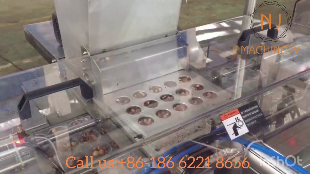 One Shot Chocolate Depositing Machine with Nuts Adding