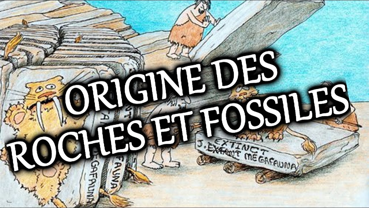 PALÉOWORLD 1 - L'ORIGINE DES ROCHES ET DES FOSSILES