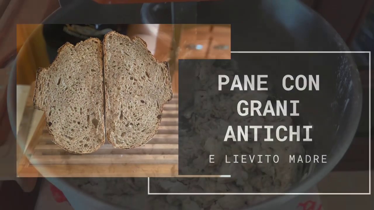 Pane con grani antichi