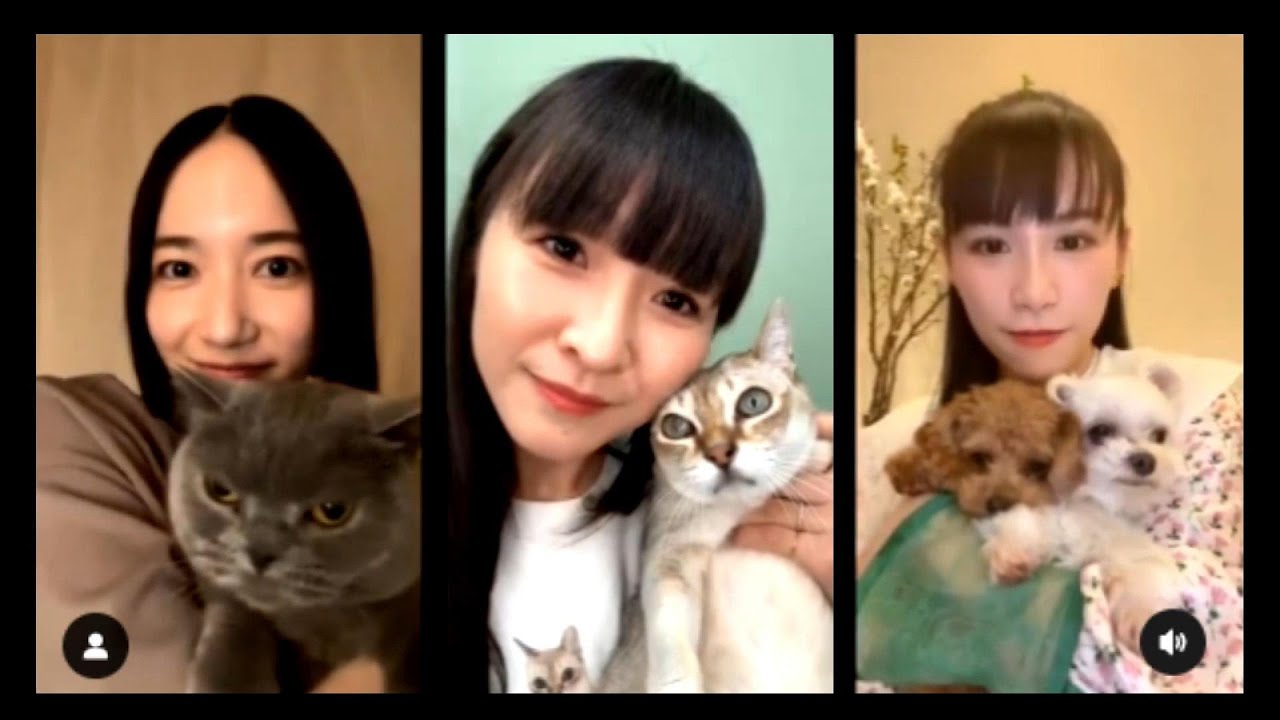 Perfume 2023年3月21日インディーズデビュー日記念~ゆるインスタライブ