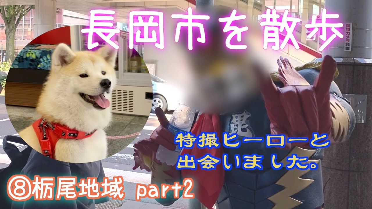 故郷の長岡市をのんびり散歩⑦