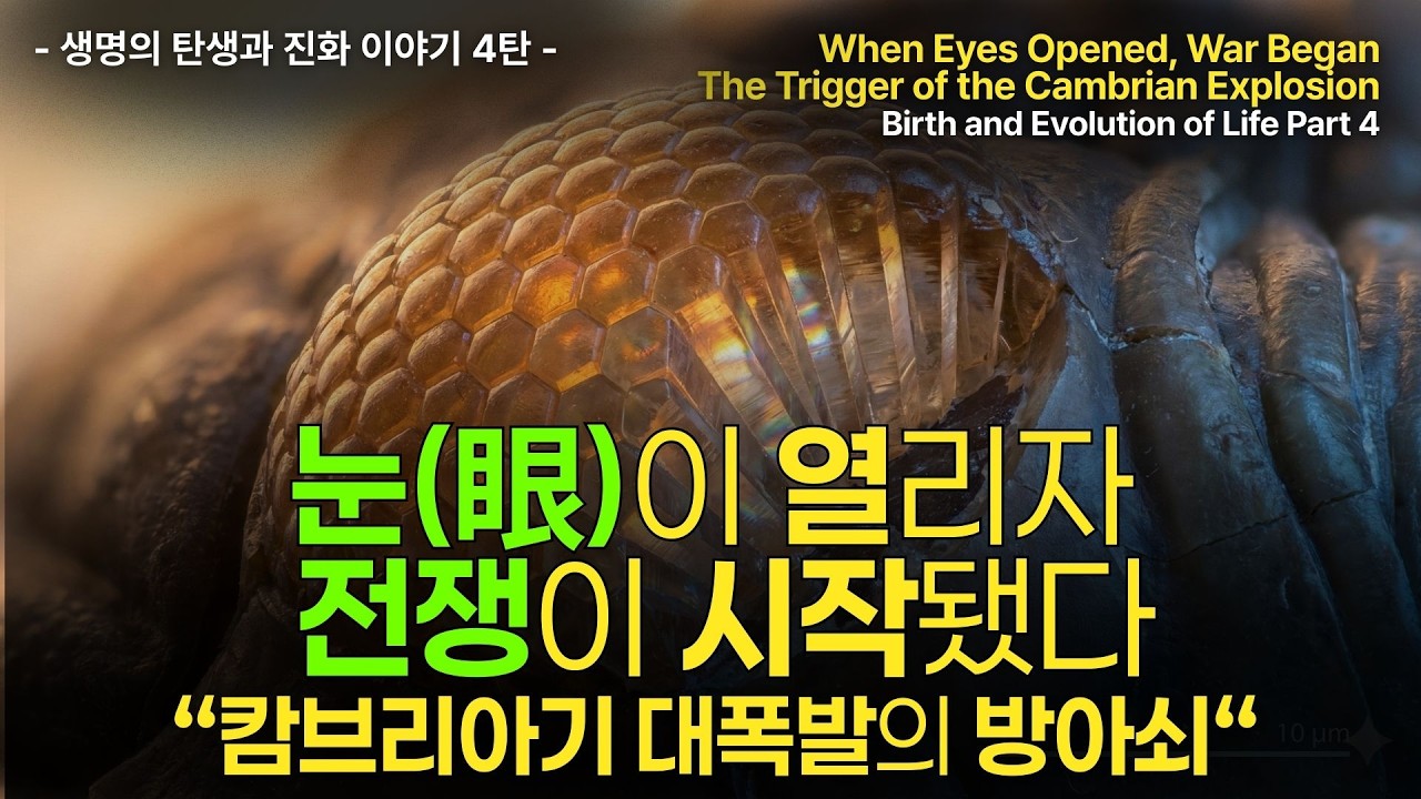 30억 년 동안 변하지 않던 생명이 2천만 년 만에 폭발했습니다 | 생명의 탄생과 진화 4편