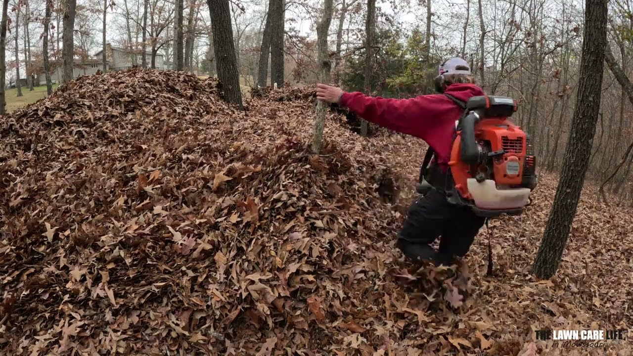 He Brought the SECRET Weapon for This Huge LEAF Cleanup Job!  But Was it ENOUGH?  Lawn Guys Team UP!