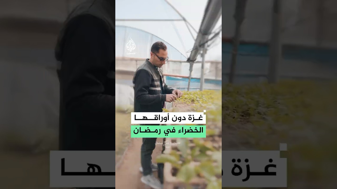 الحرب تدمر القطاع الزراعي.. غزة دون أوراقها الخضراء في رمضان