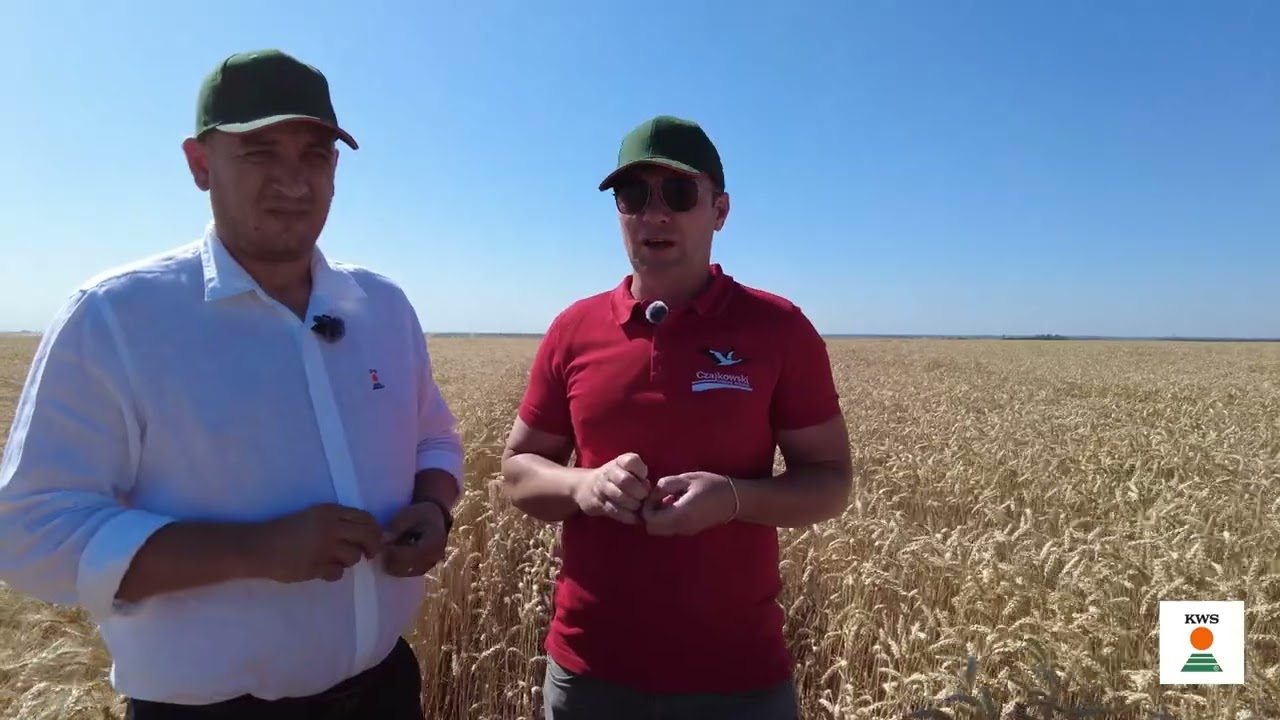 Grau KWS @ Land Buciumeni