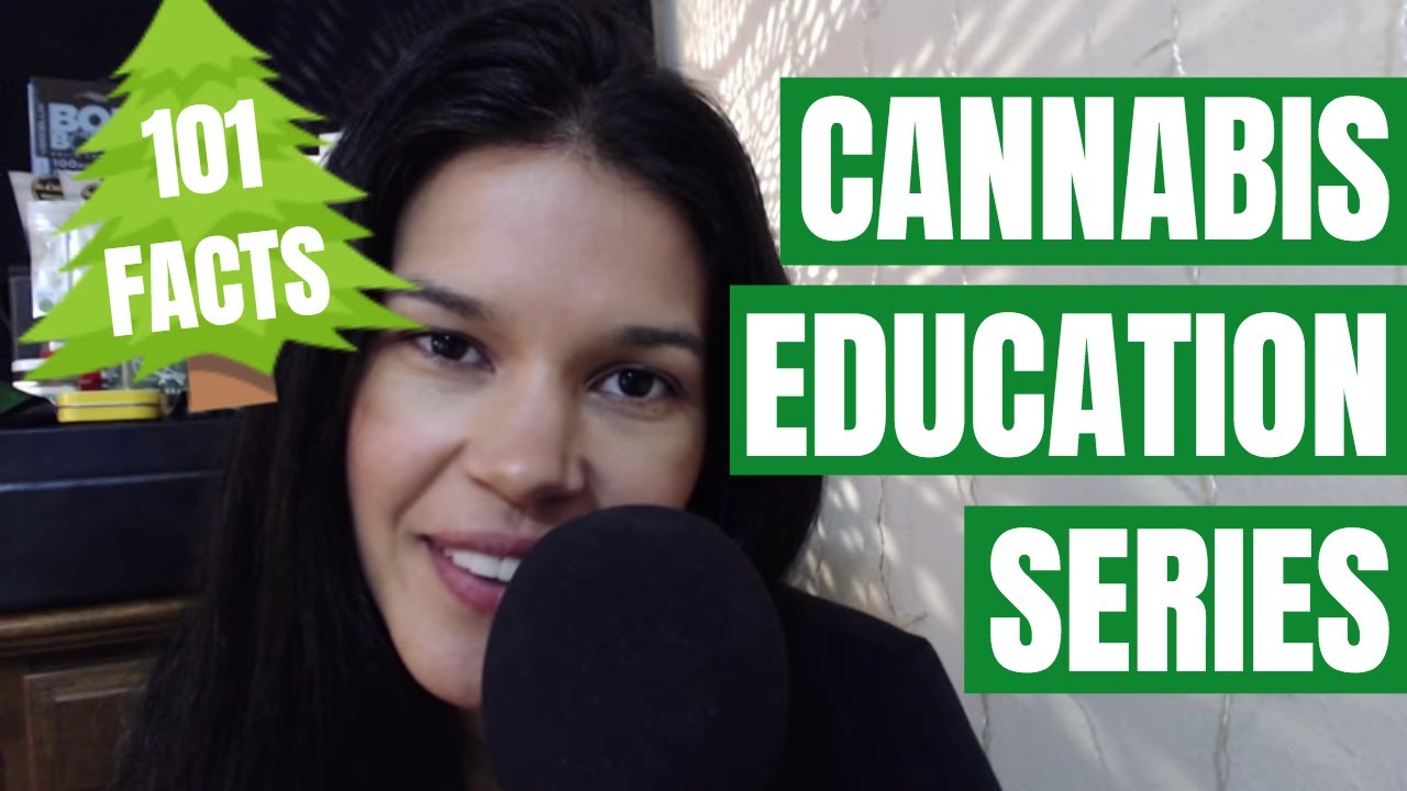 ASMR Facts About Cannabis [Cannabis Education Series | Part 4]