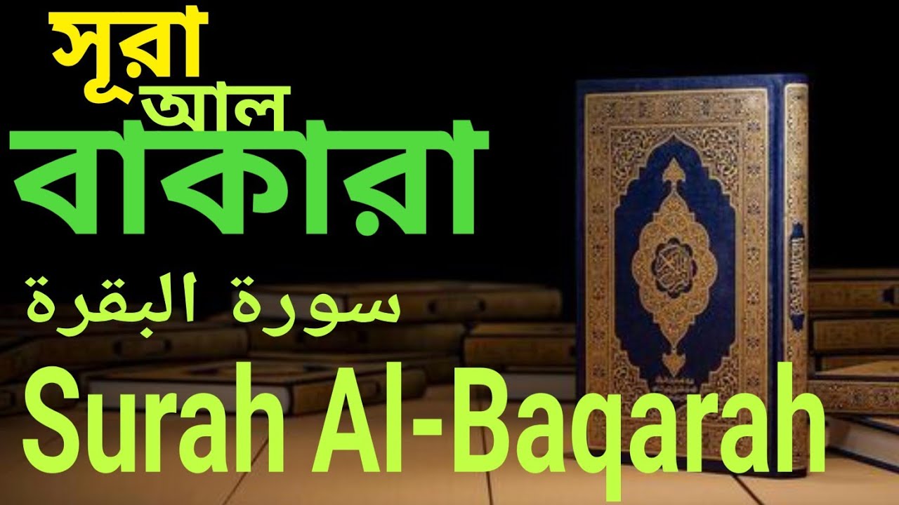 Surah Al-Baqarah সূরা আল বাকারা سورة البقرة #automobile #duet #quran 