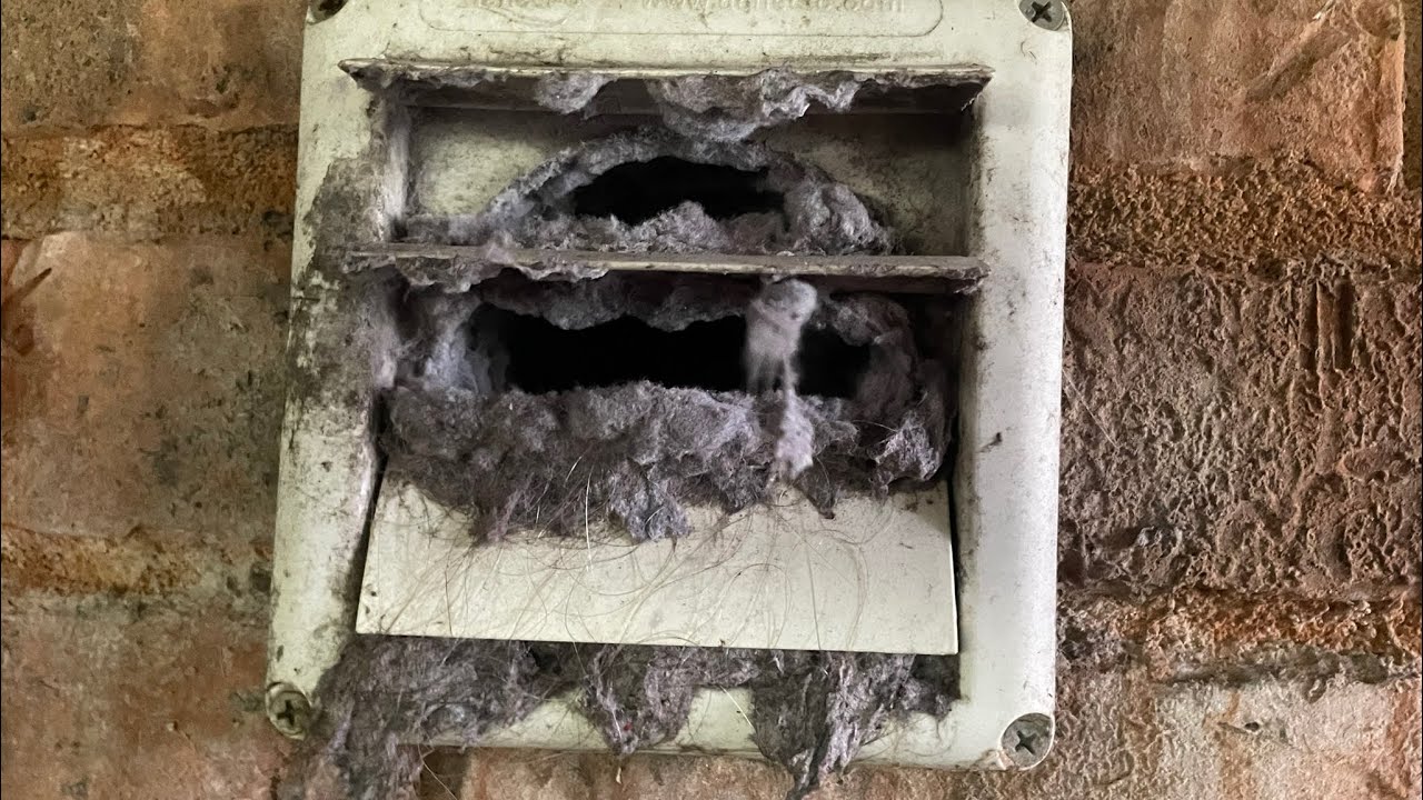 DRYER VENT CLEANING COMPILATION!!! Just Me and My Brush! #almetaldryervent #satisfying