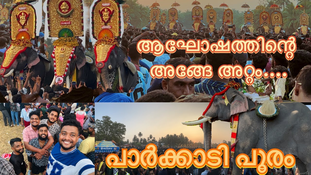 അഞ്ഞൂർ പാർക്കാടി പൂരം കൂടാൻ പോയപ്പോൾ |Parkkadi Pooram|