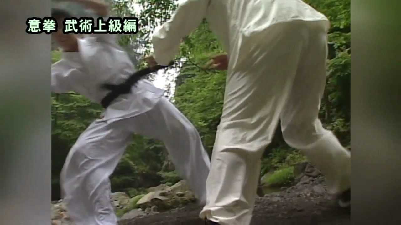 意拳　武術中級編・武術上級編 med-872 DVD CM