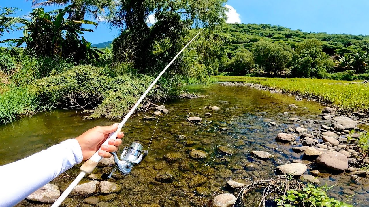 Pescando y Explorando Hermoso Río alado de la Carretera!