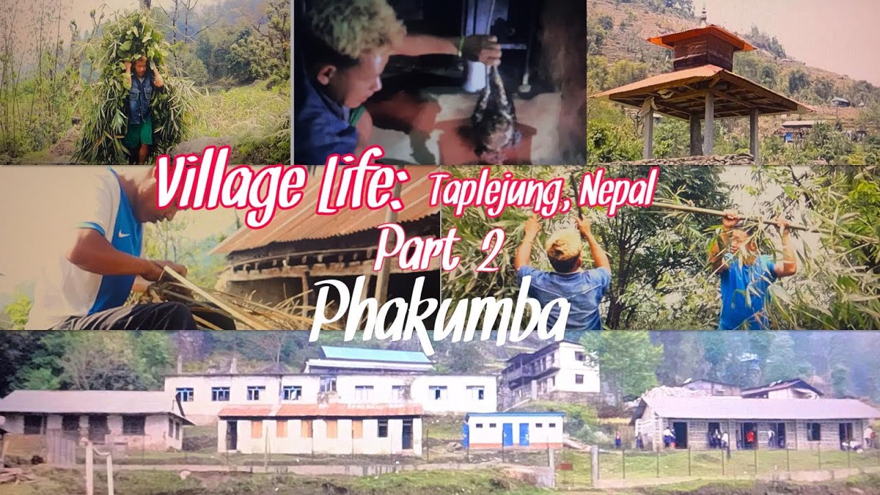 Village Life- Taplejung, Nepal Part 2  || गाउले जीवन- ताप्लेजुङ  (फाकुम्बा) ||  Namaste Lungwa Vlog