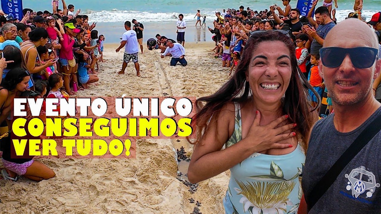 AQUI É CUMBUCO, CEARÁ. TARTARUGAS À VISTA! T3 Ep21
