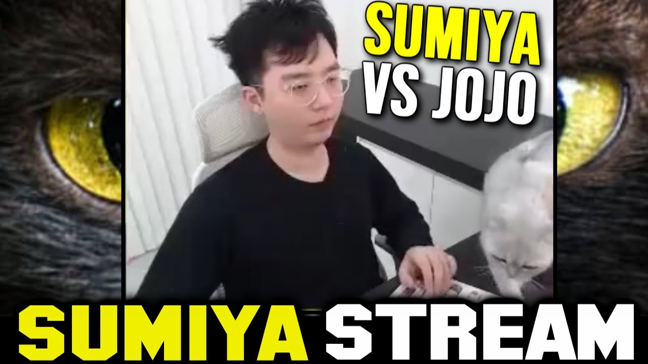My Cat doesn't like me to play Dota | Sumiya Invoker Stream Moment 3331