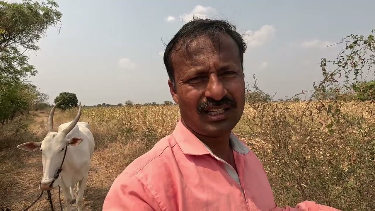 आपली माती आपली माणसं