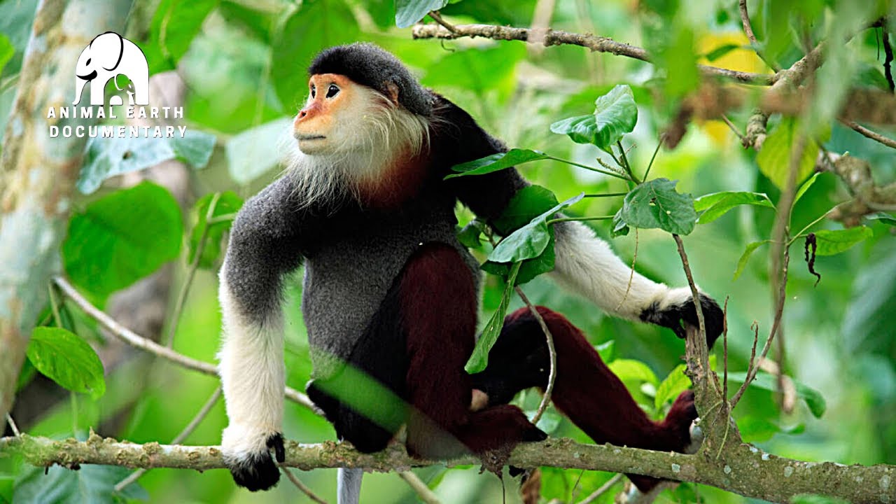 Vietnam's HIDDEN Natural Wonders of the World