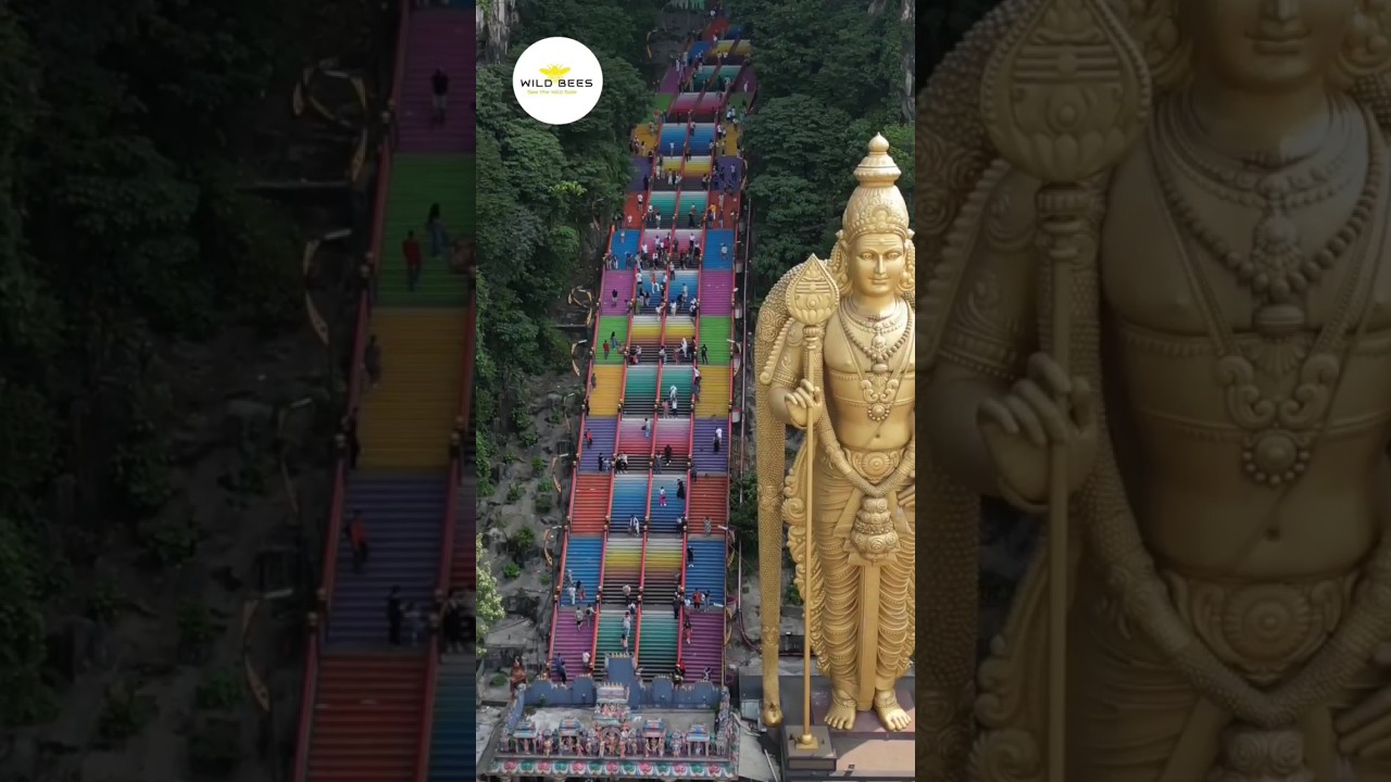Batu Caves Steps| Count 272 Stairs to visit Lord Murugan Biggest Hindu Temple  #malaysia #batucaves