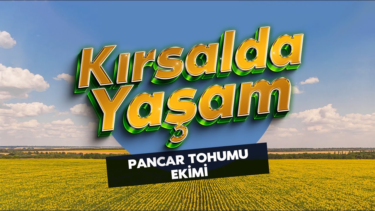 KIRSALDA YAŞAM | Pancar Tohumu Ekimi