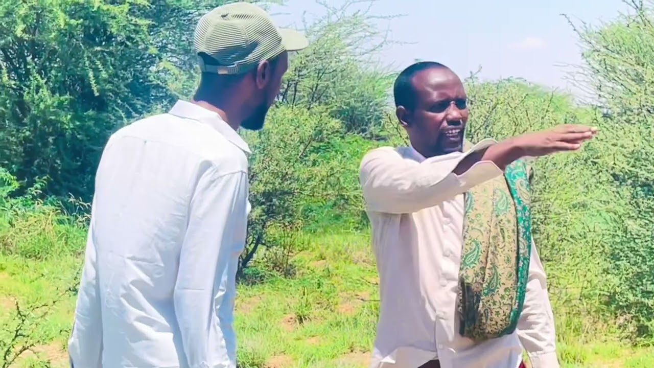 Riwaayad Qosola😂 Abwaan Heello Iyo Cabdi-Joolaji