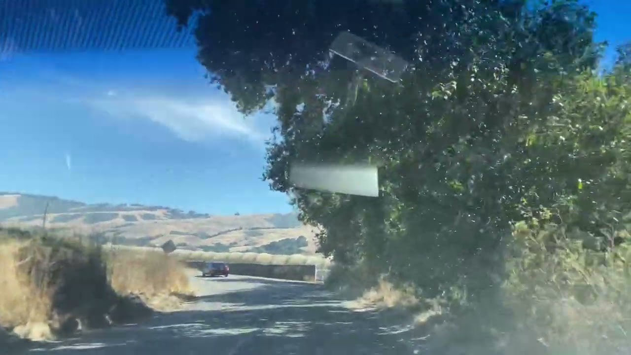 LA PULGA DE WATSONVILLE CA 30DEJULIO 2023