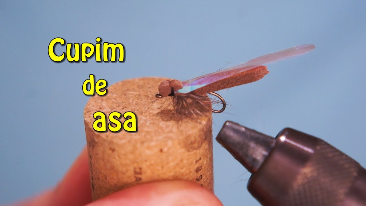 Cupim de asa - Isca de fly para tilápias