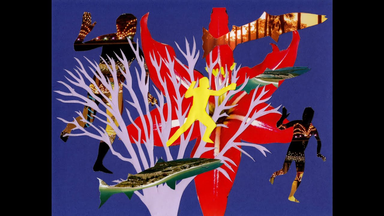 Collage Experiment