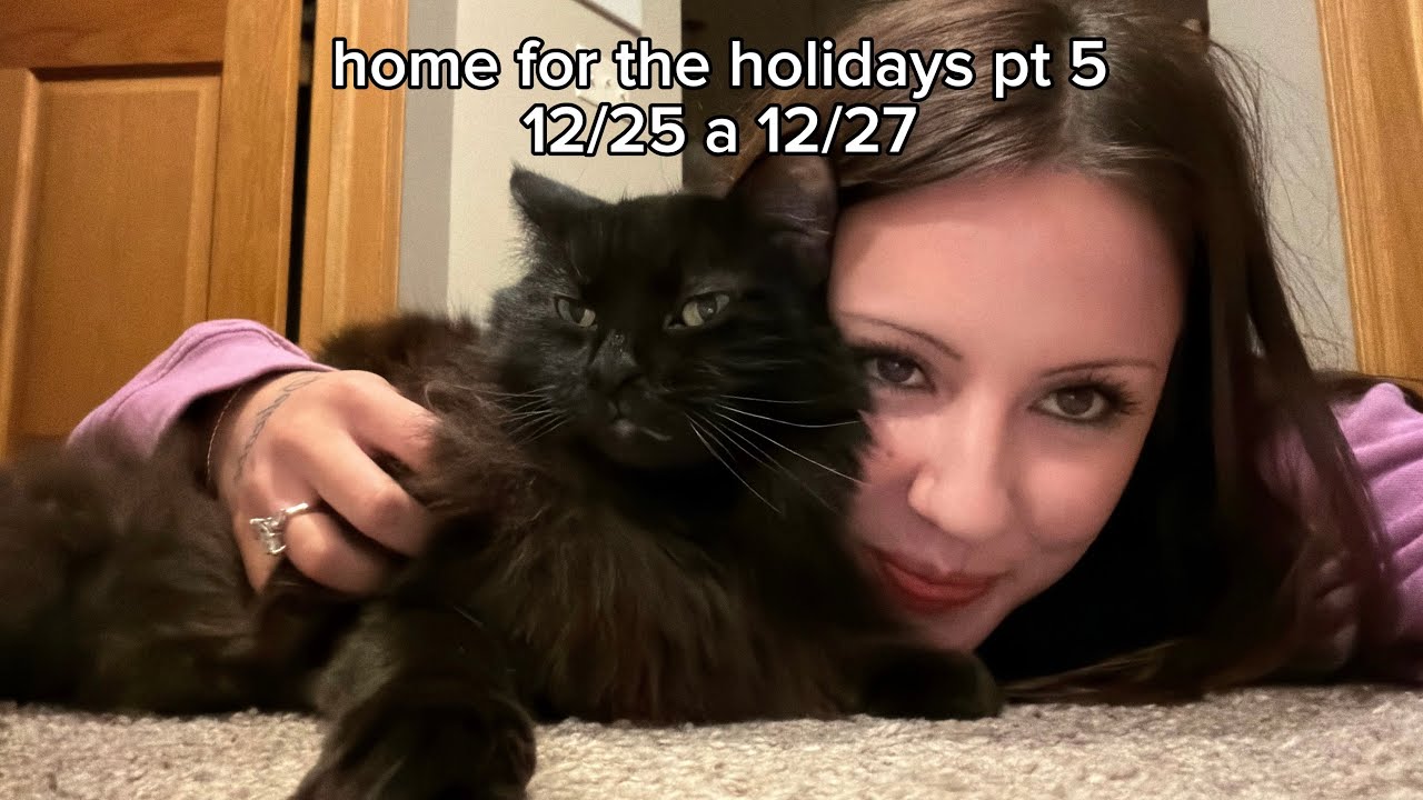 home for the holidays pt 5 - a trip to madison & a night out in MKE