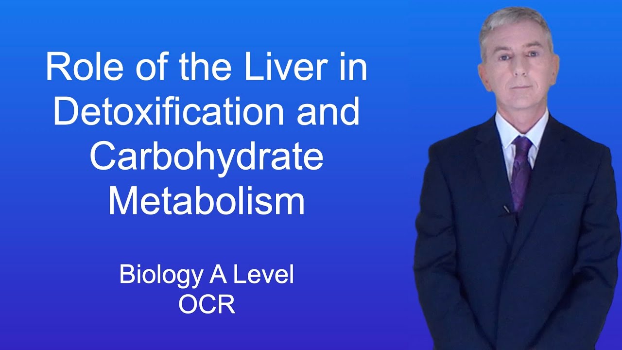 A Level Biology Revision (Year 13) 