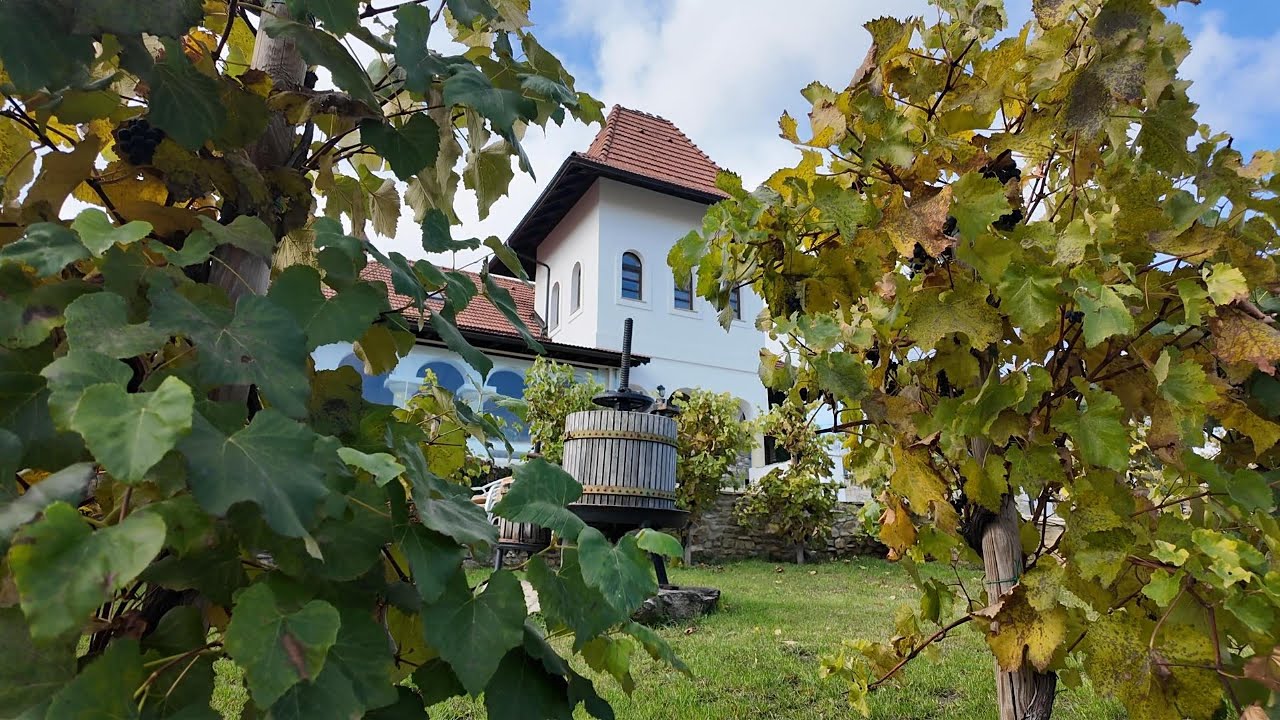 Crama Mircești, Ungheni, Moldova