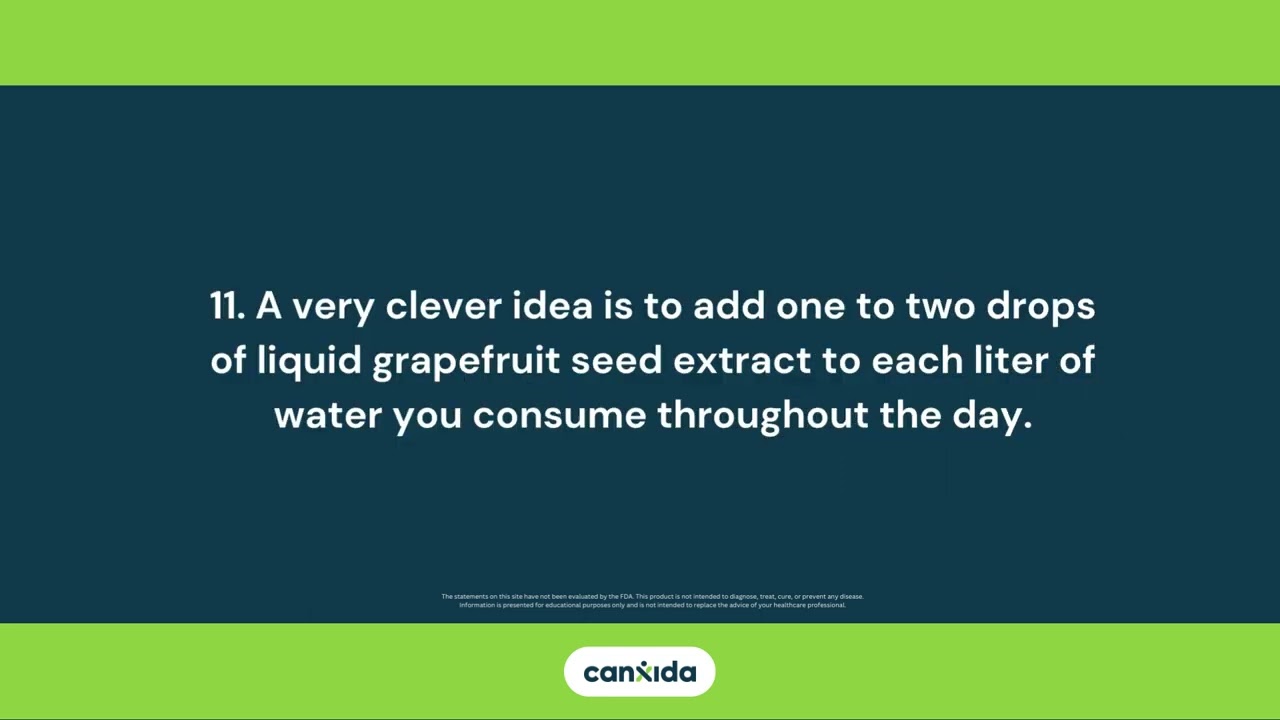 21 Best Guidelines For  Following The Candida Crusher Diet | CanXida